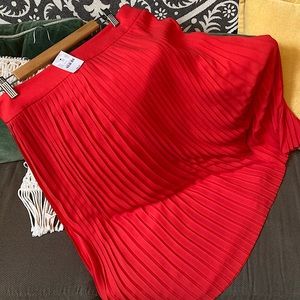 JCrew Pleated MIDI Skirt